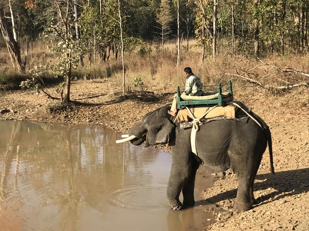 Kamp Kamouflage Kānha エクステリア 写真